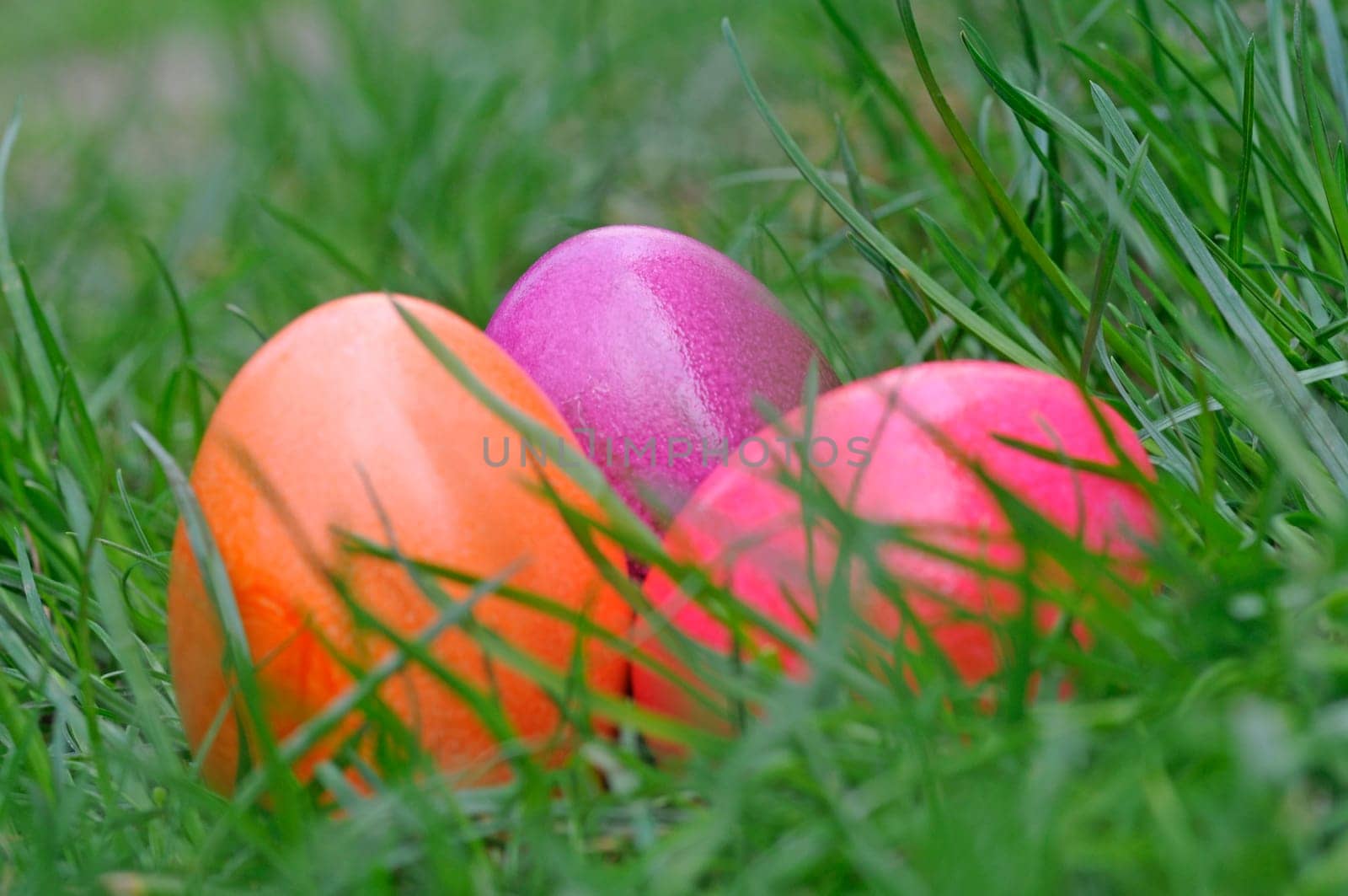 Easter egg