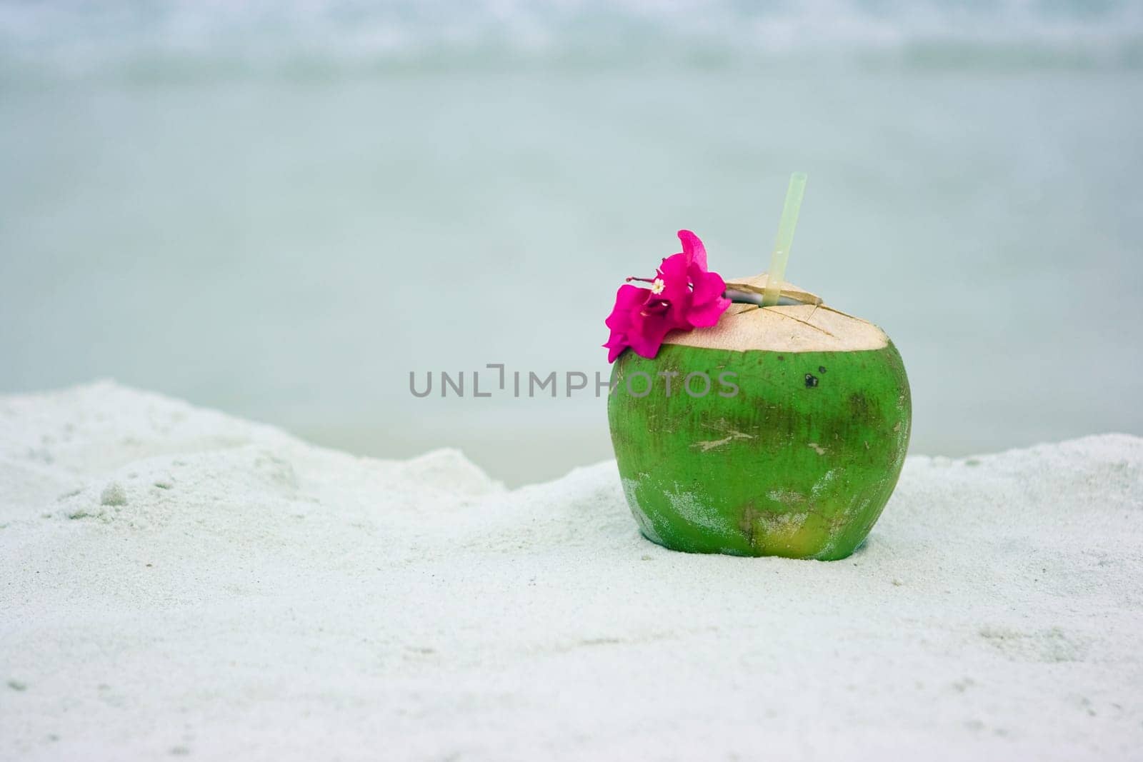 Coconut on the beach