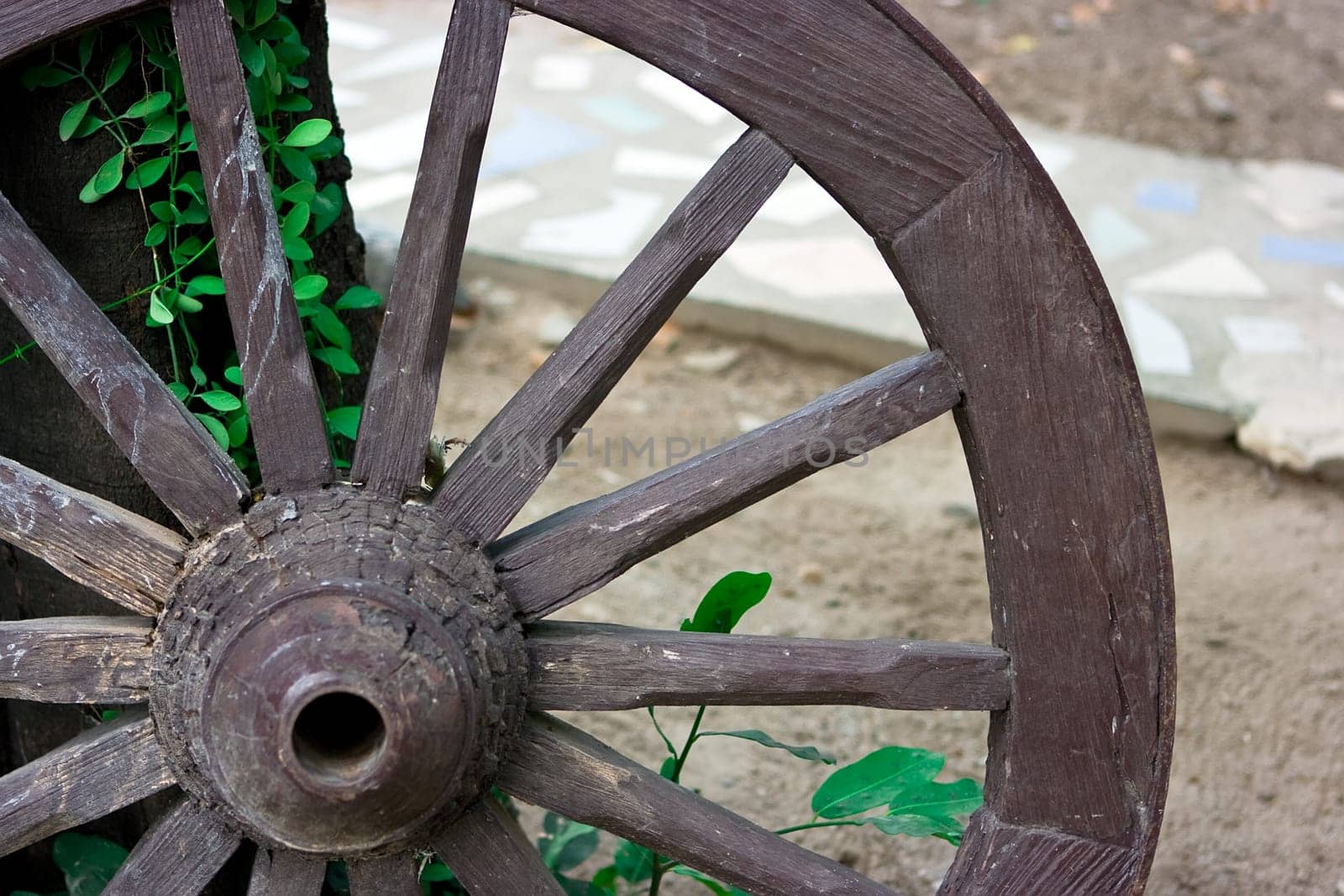 Wheel