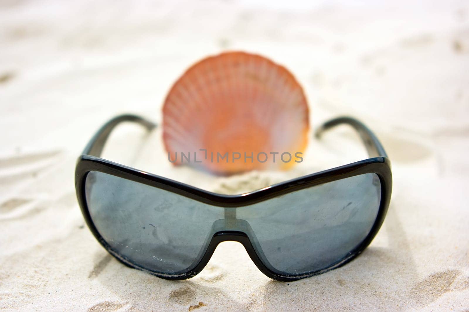 Shell on sand