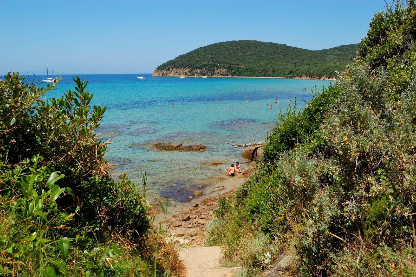trail to the beach