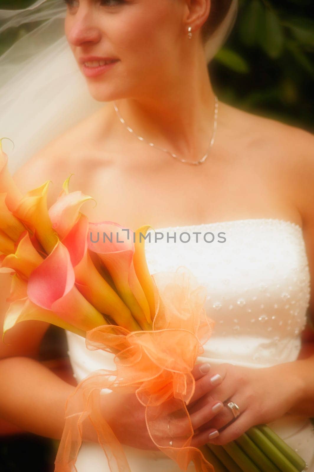 Portrait of a bride