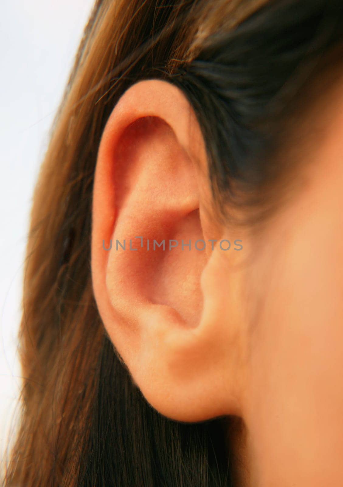 An ear