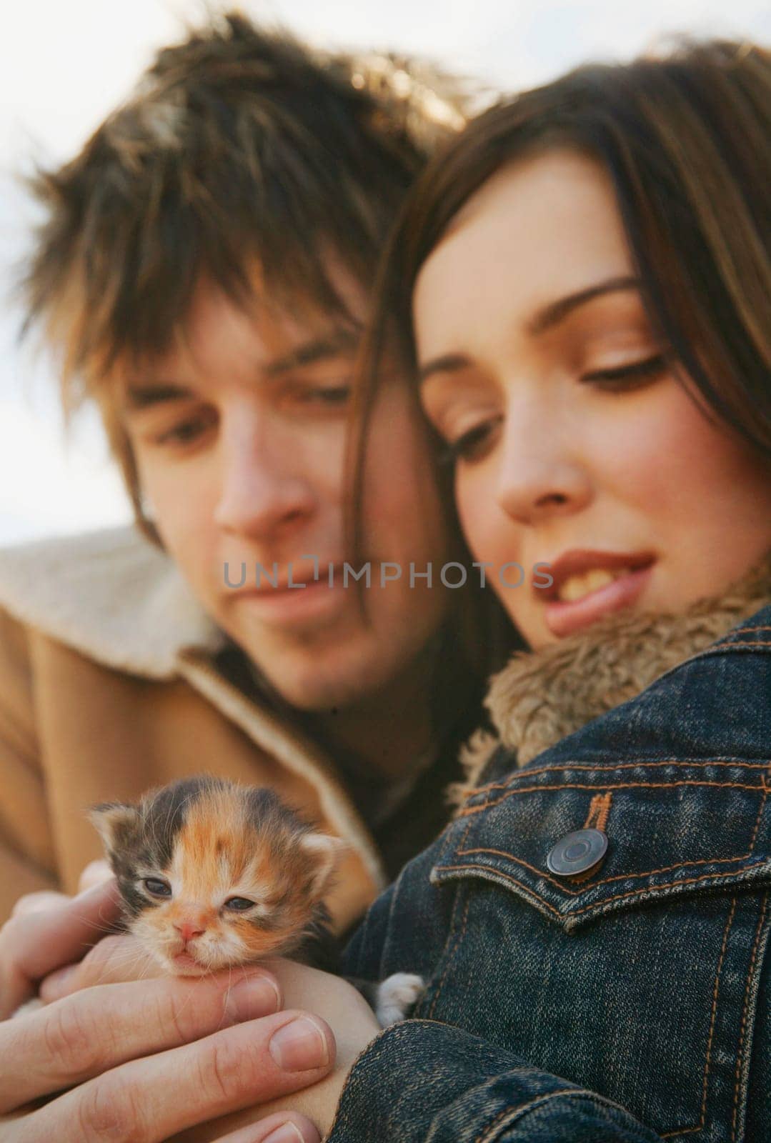 Couple cuddle a kitten
