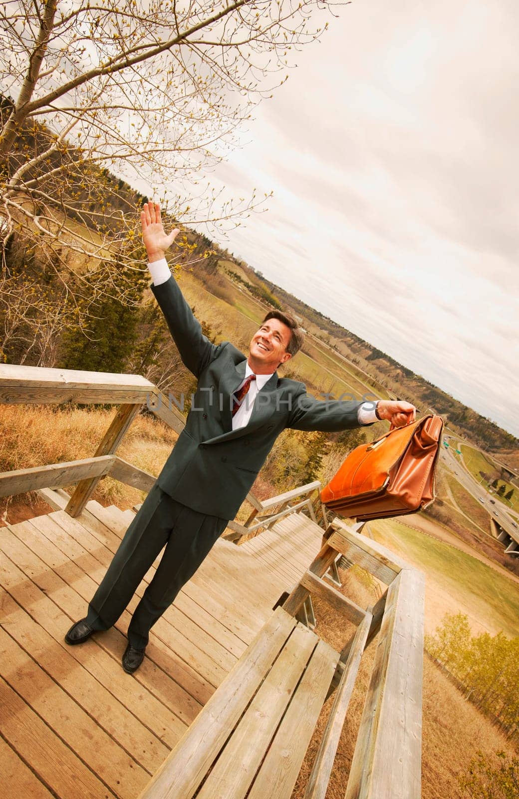 Businessman on top of the world