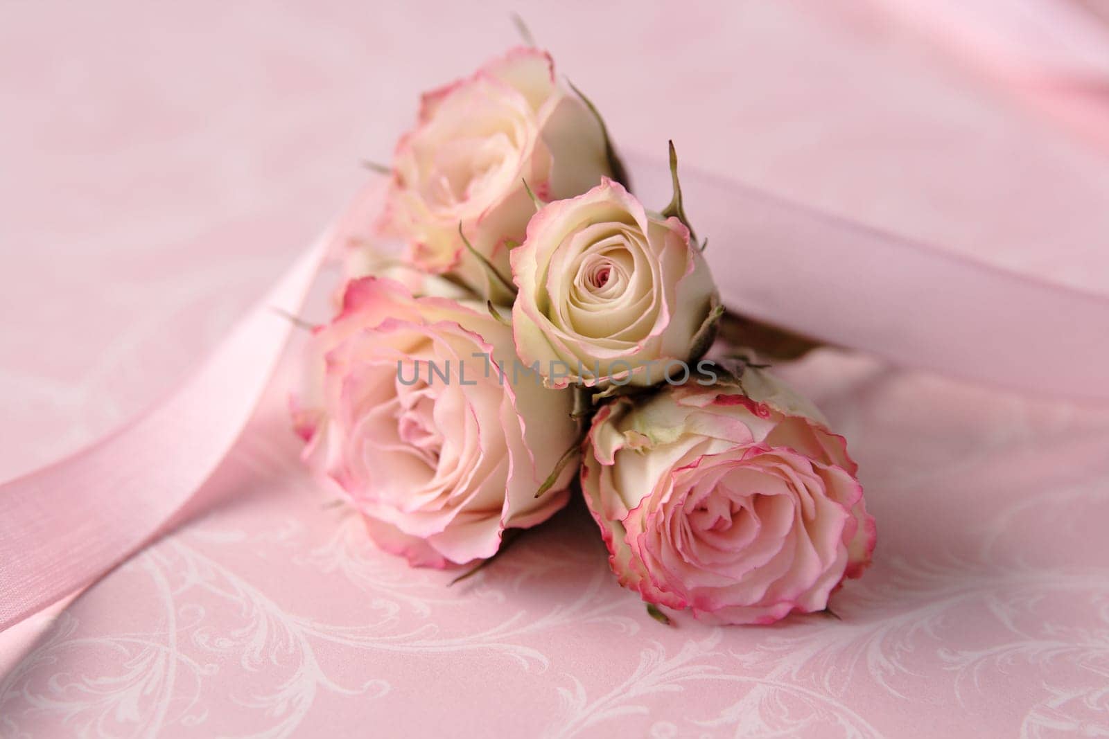 pale roses on pink with ribbon