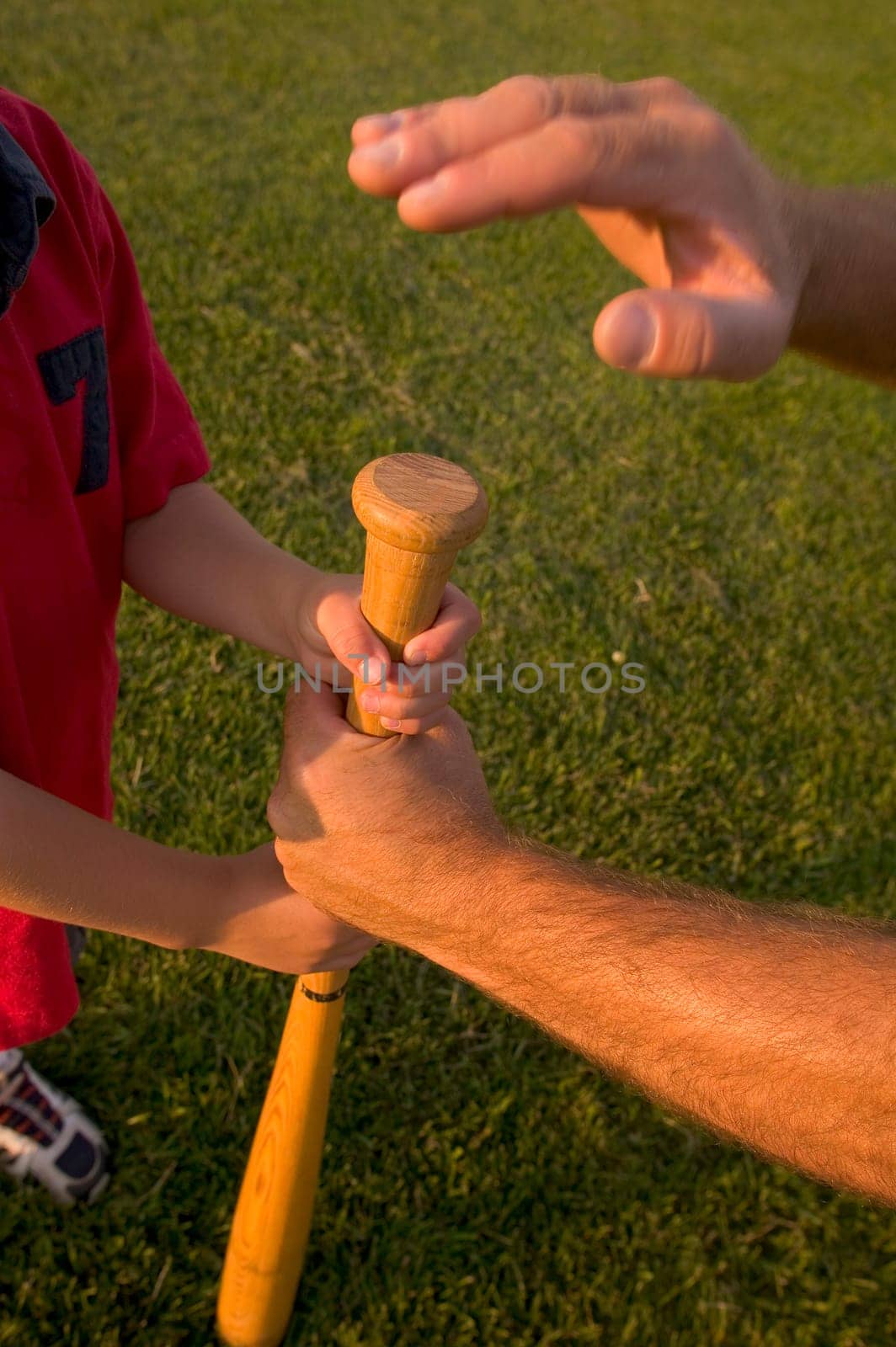 Father and boy's arms with baseball bat