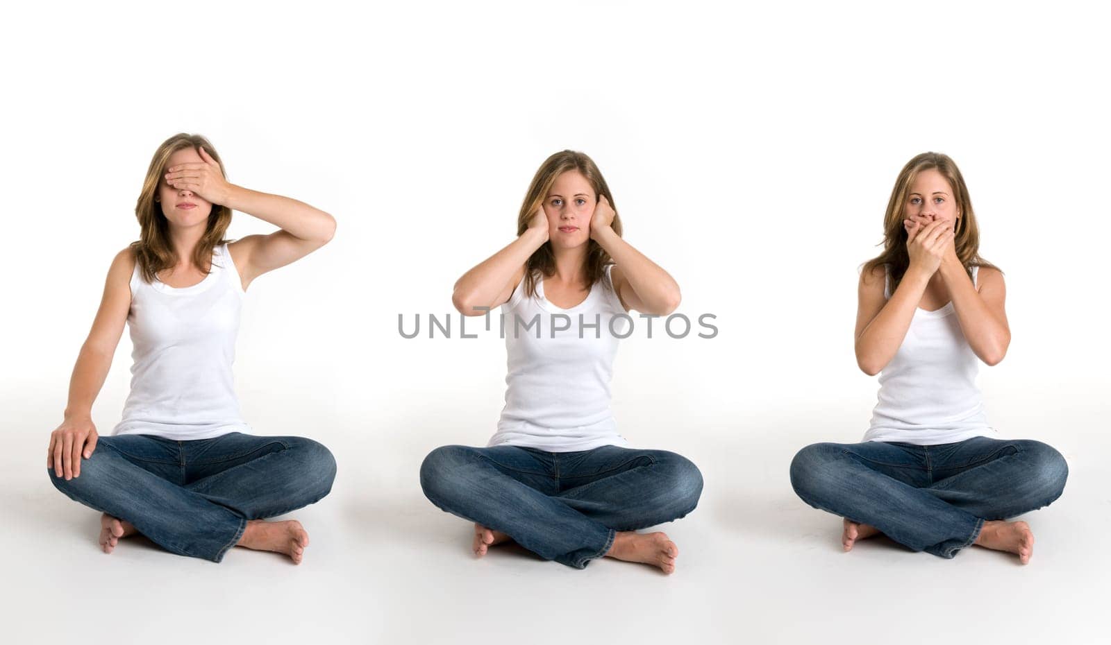 Three Monkeys (Traditional)