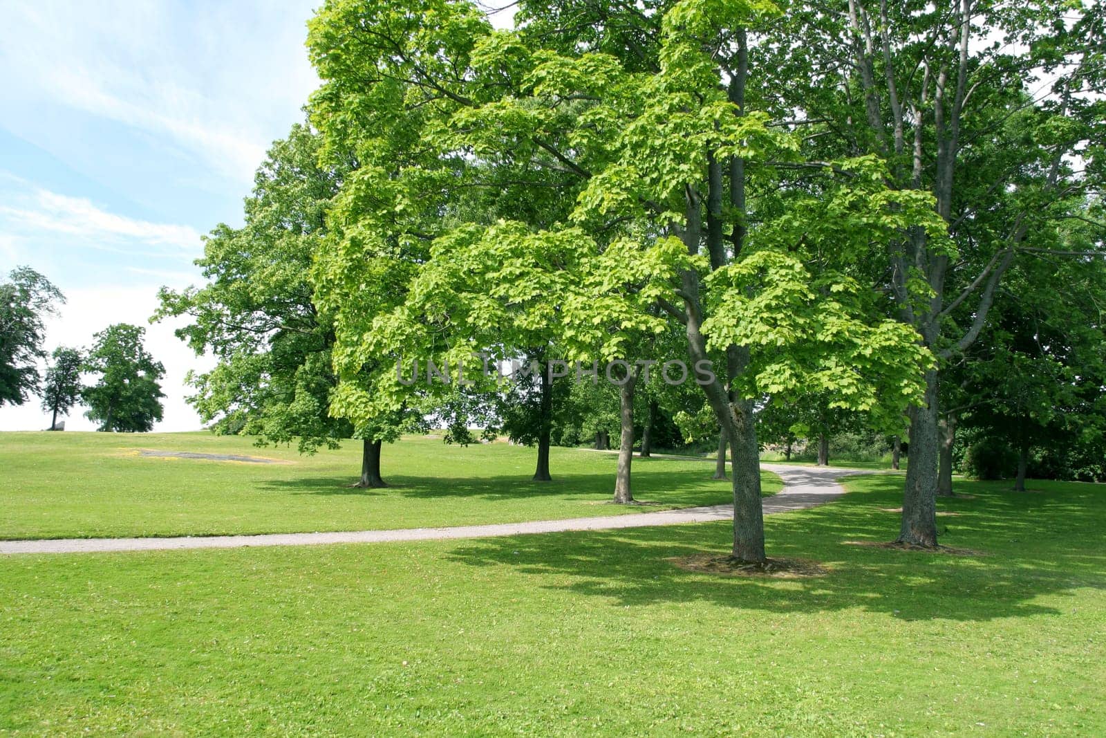 Park