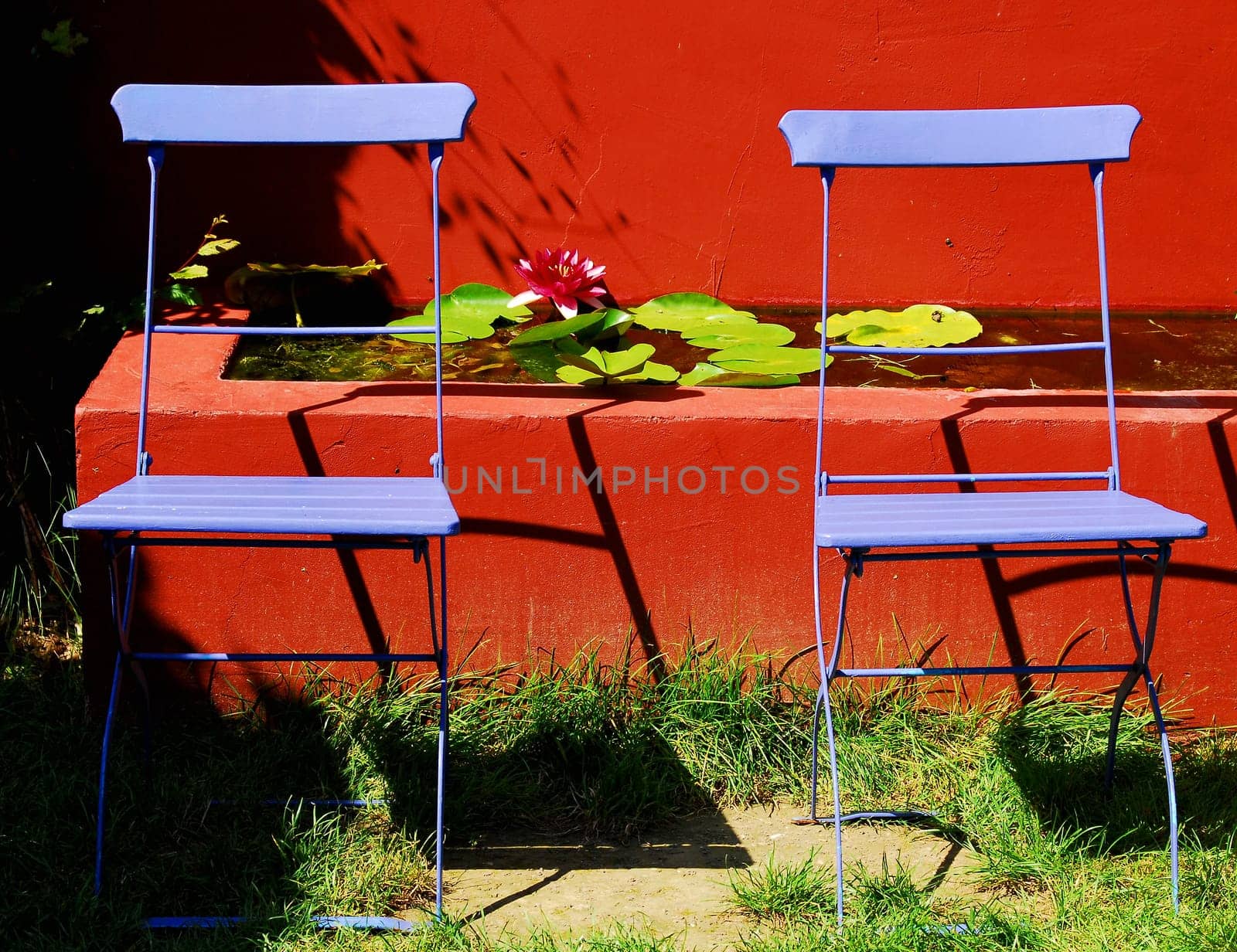 The purple folding chair in the garden