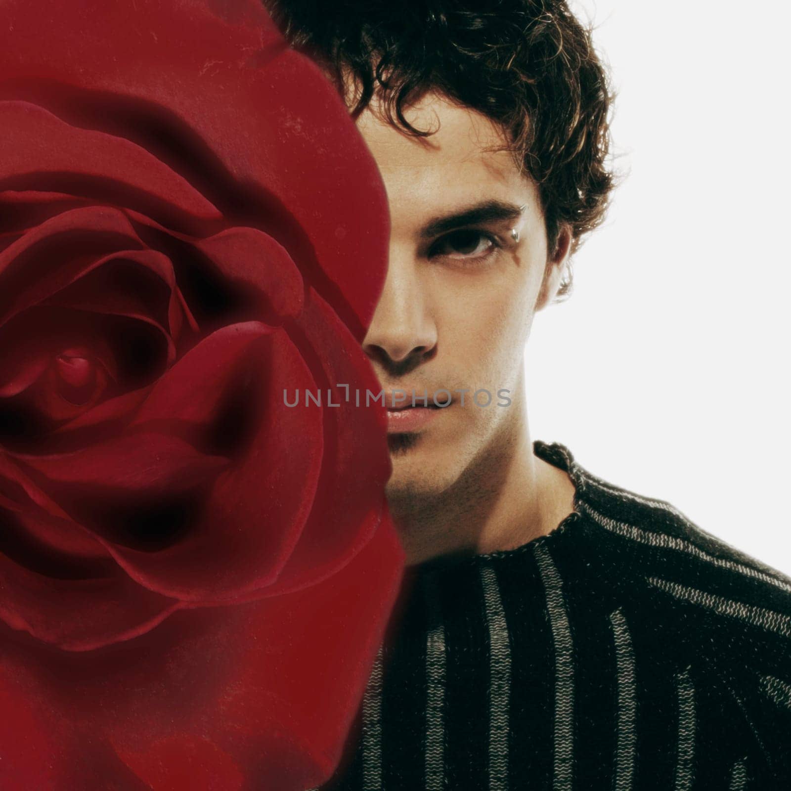 Male model hidden by red rose