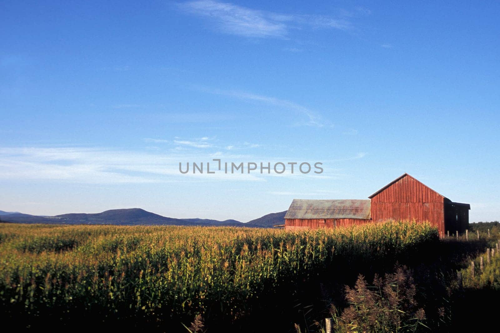 Wide open spaces of farmland