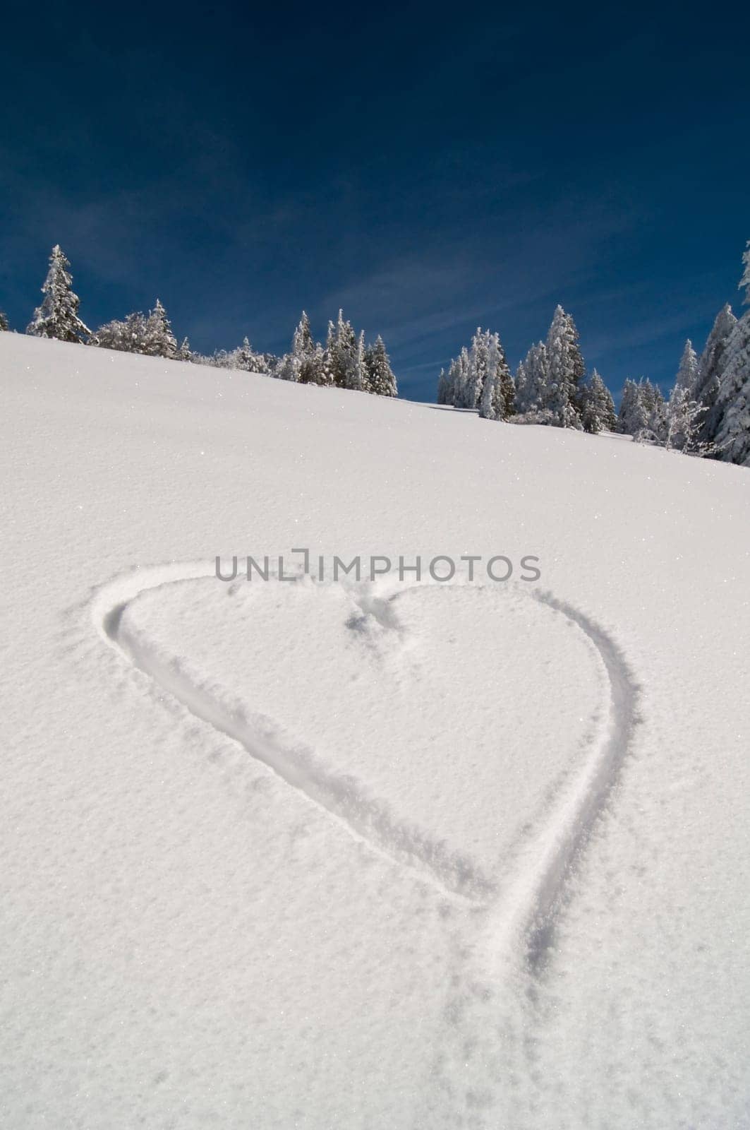 Winter Heart