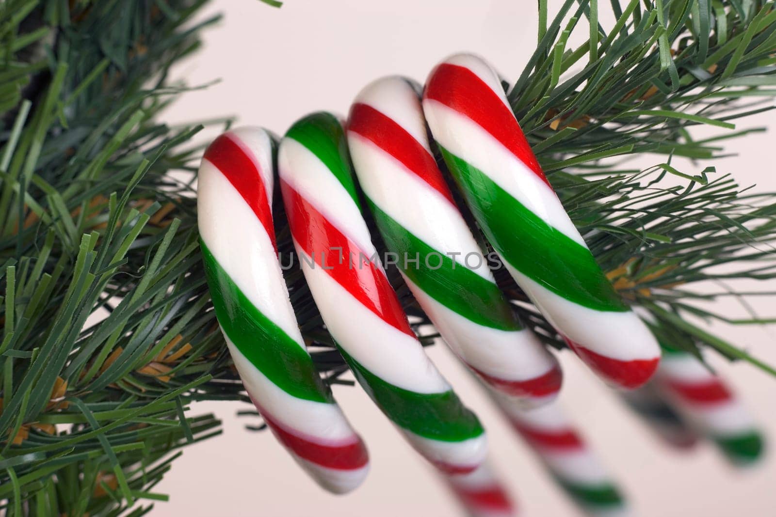 Candy canes hanging from tree