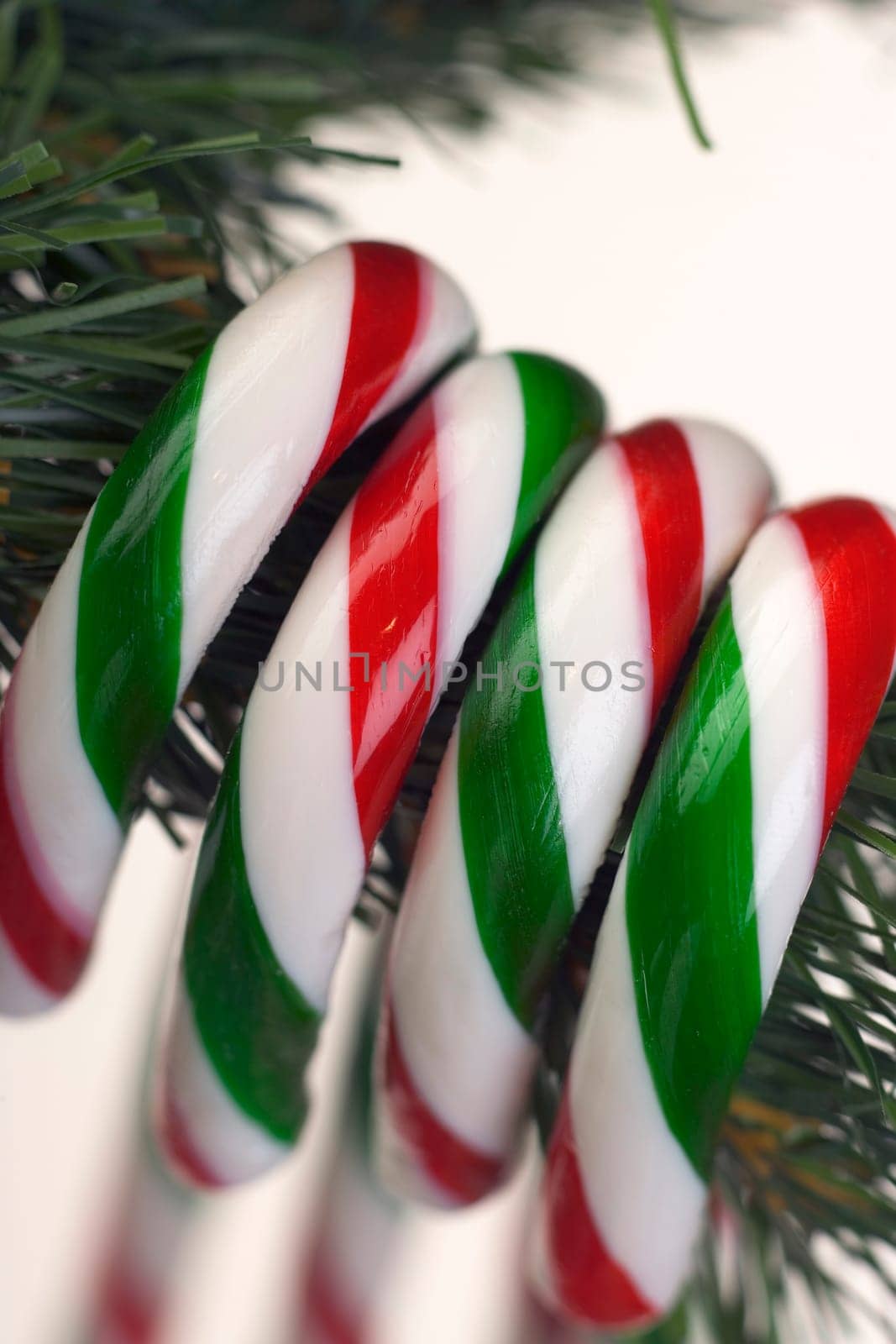 Candy canes hanging from tree