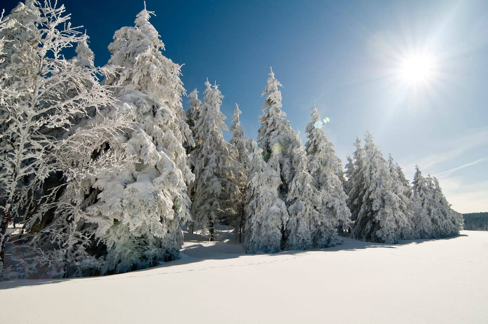 Winter200913