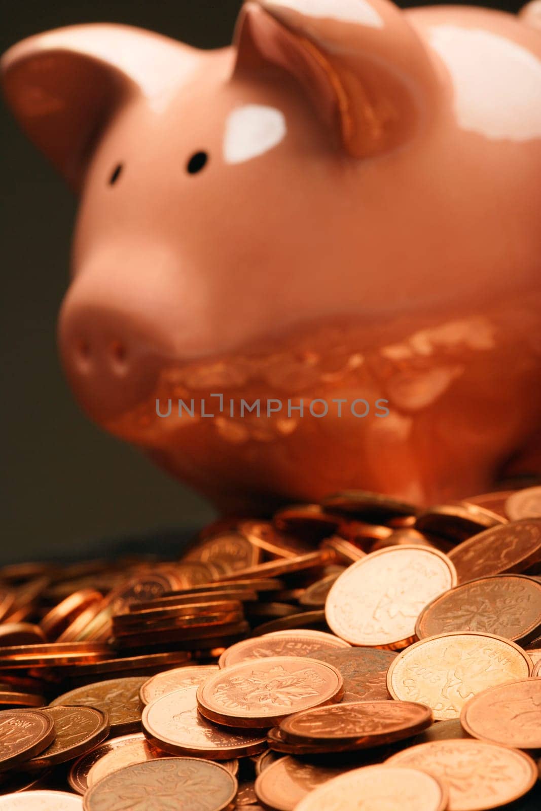 Piggy bank and coins