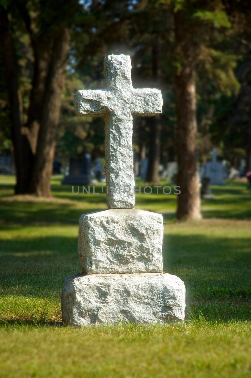 Headstone in graveyard