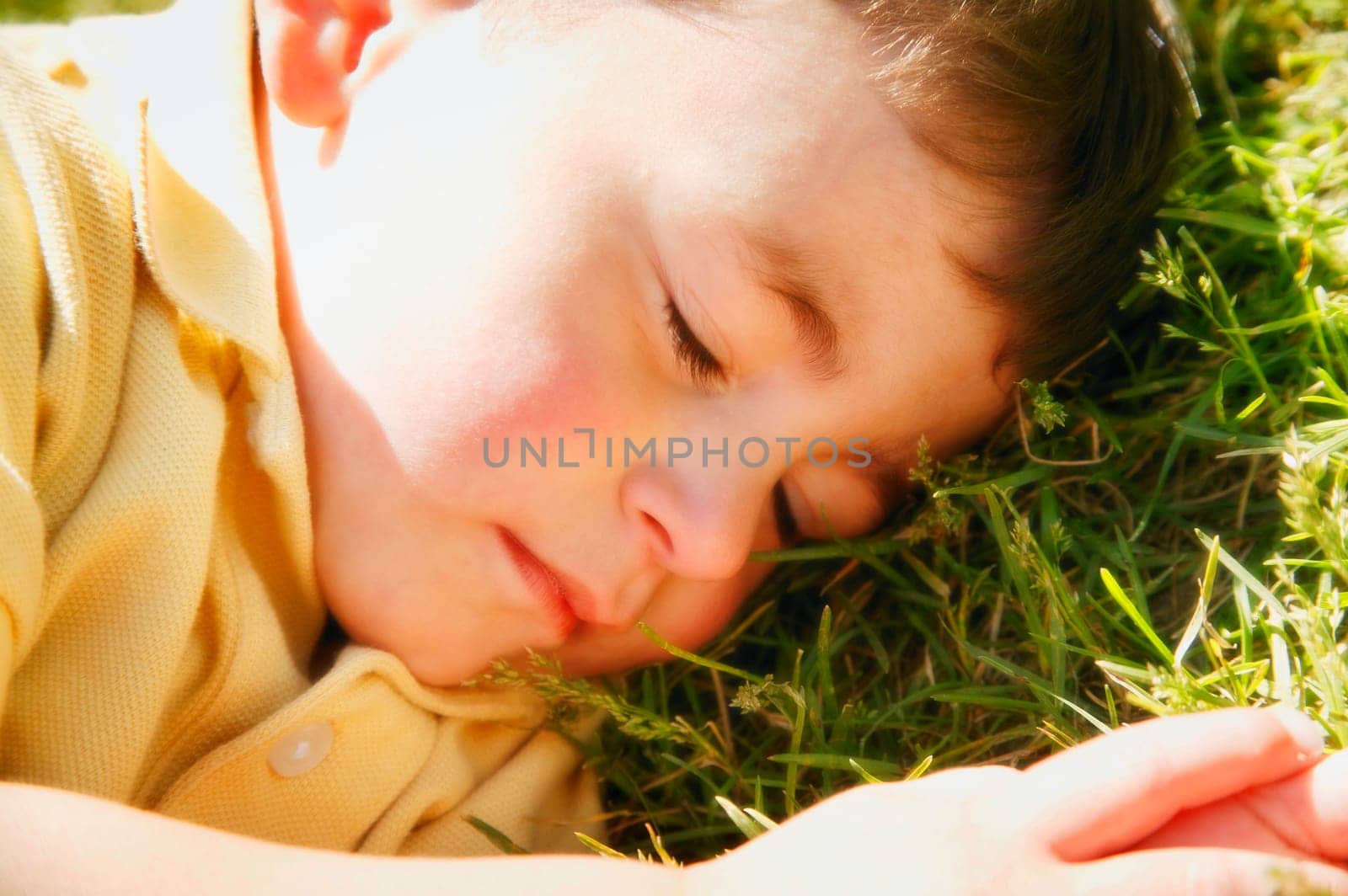 Little boy asleep on the grass