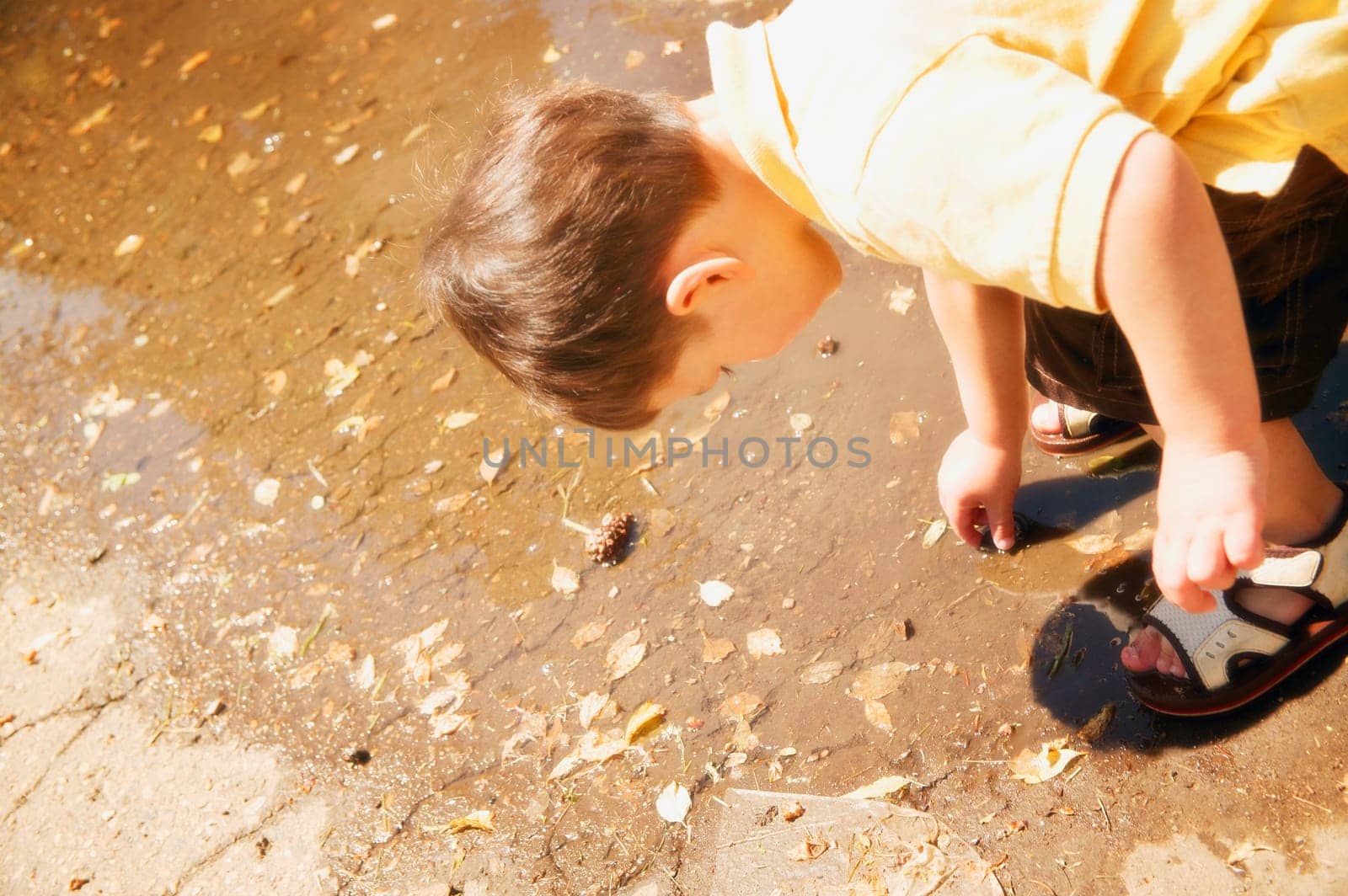 A little boy shell seeking