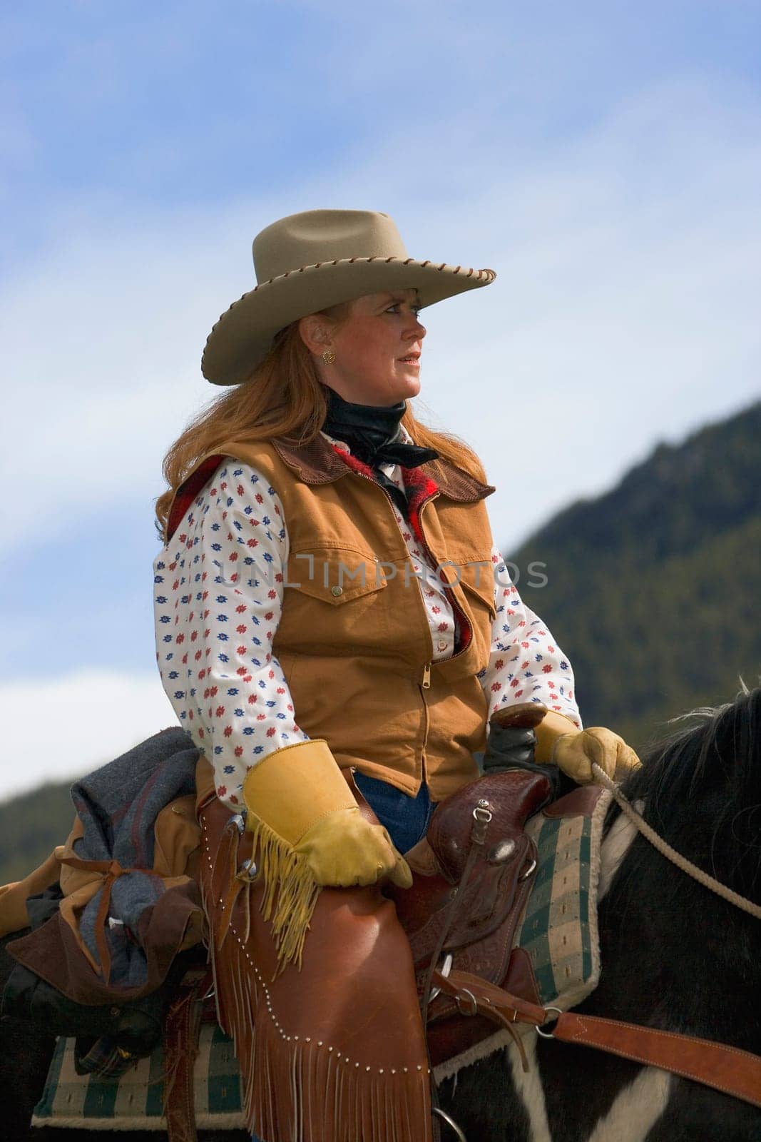 A portrait of a woman on horseback