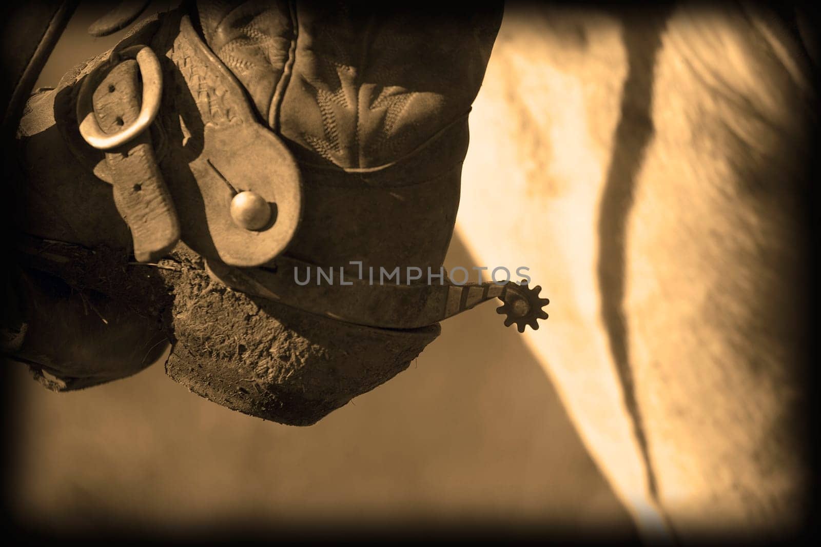 A close-up of a cowboy boot heel and spur