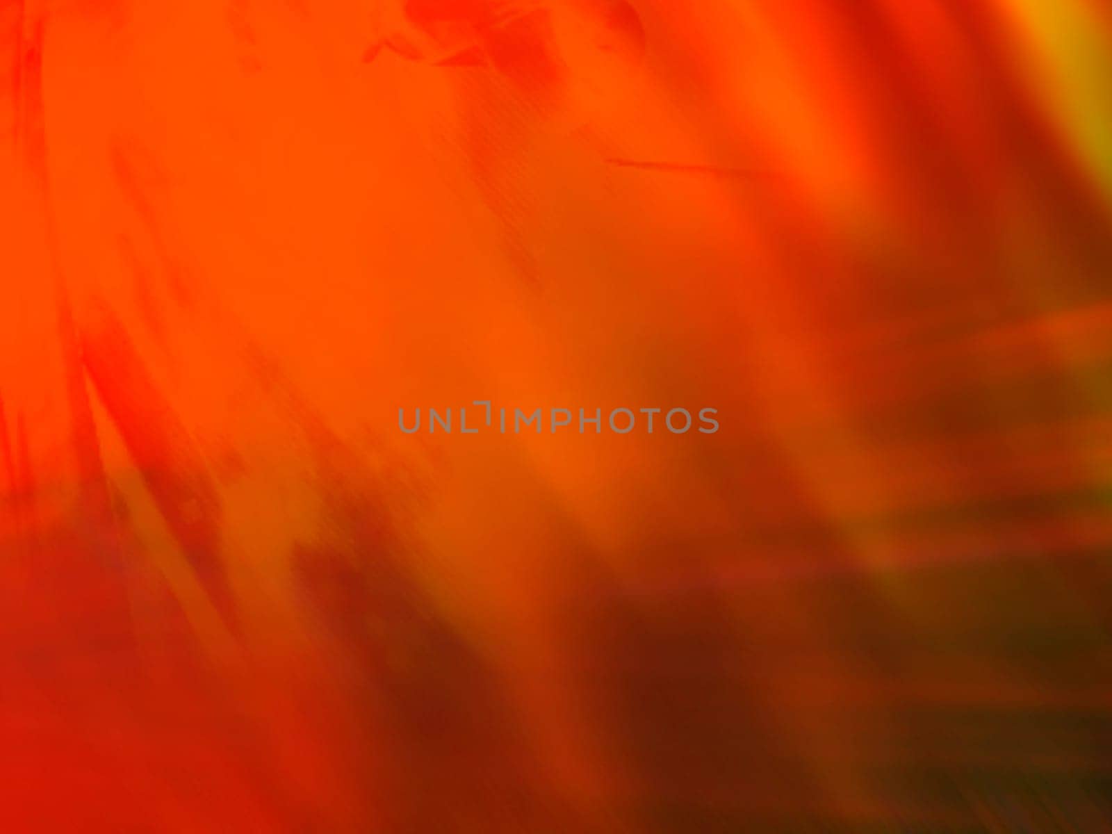 Orange rays of light