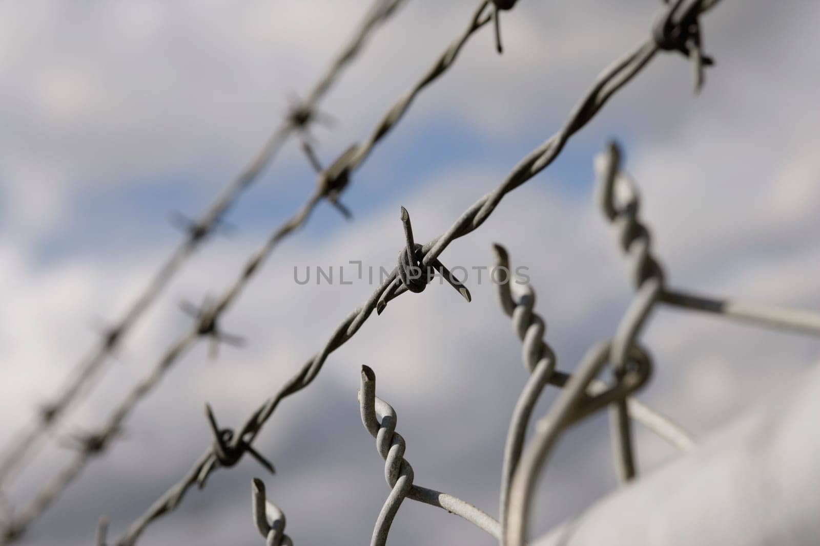 Barbed wire and link fencing