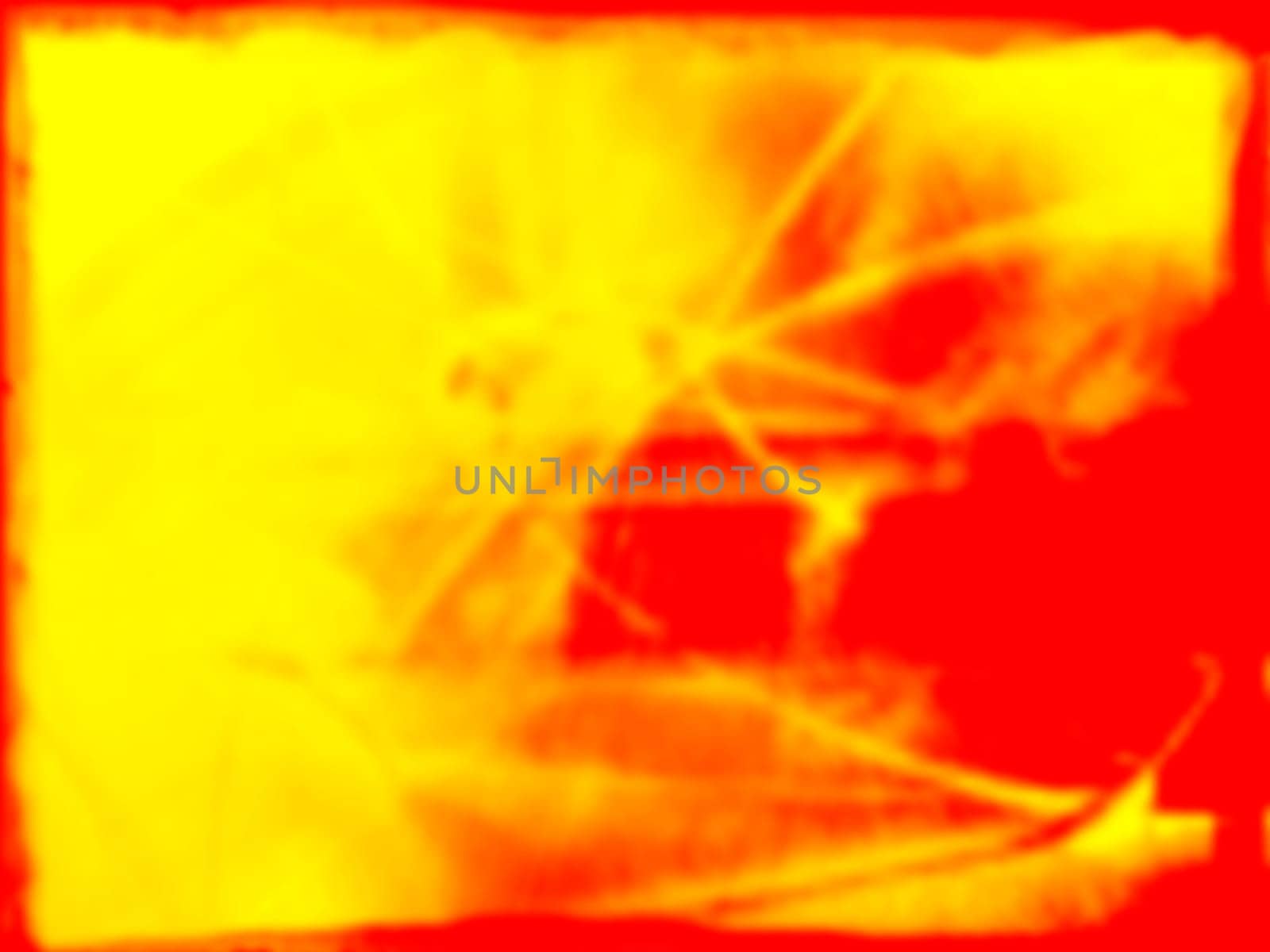 Yellow and red splotches of color