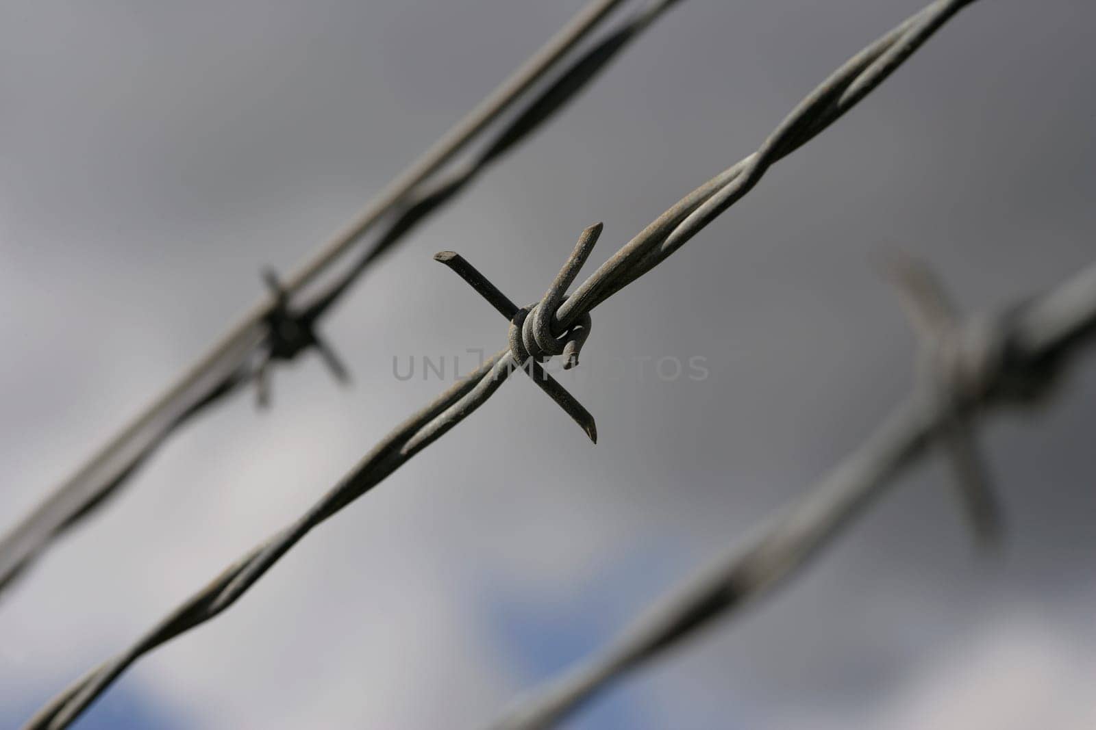 Closeup of barbed wire fencing