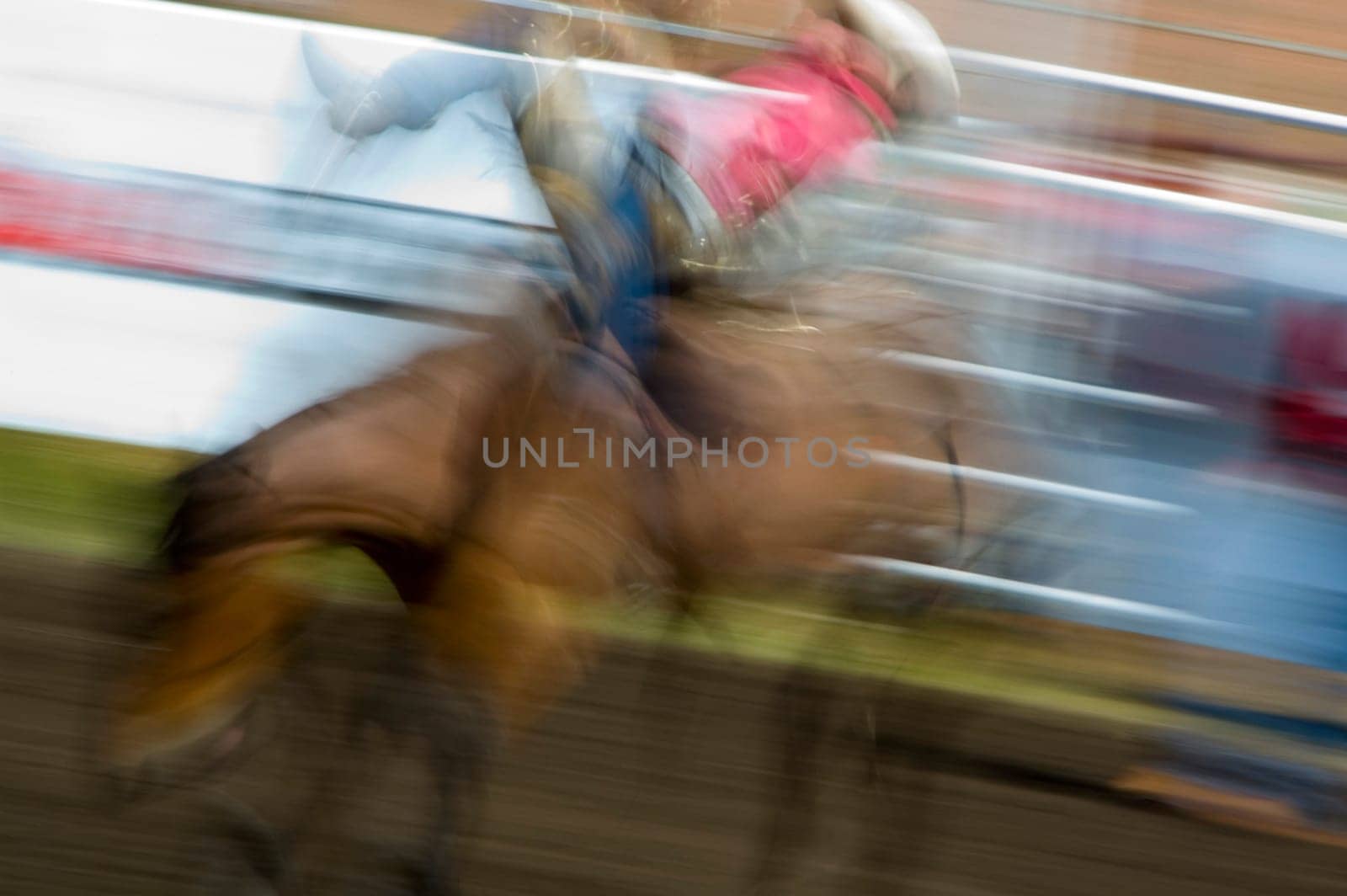 Cowboy on a horse
