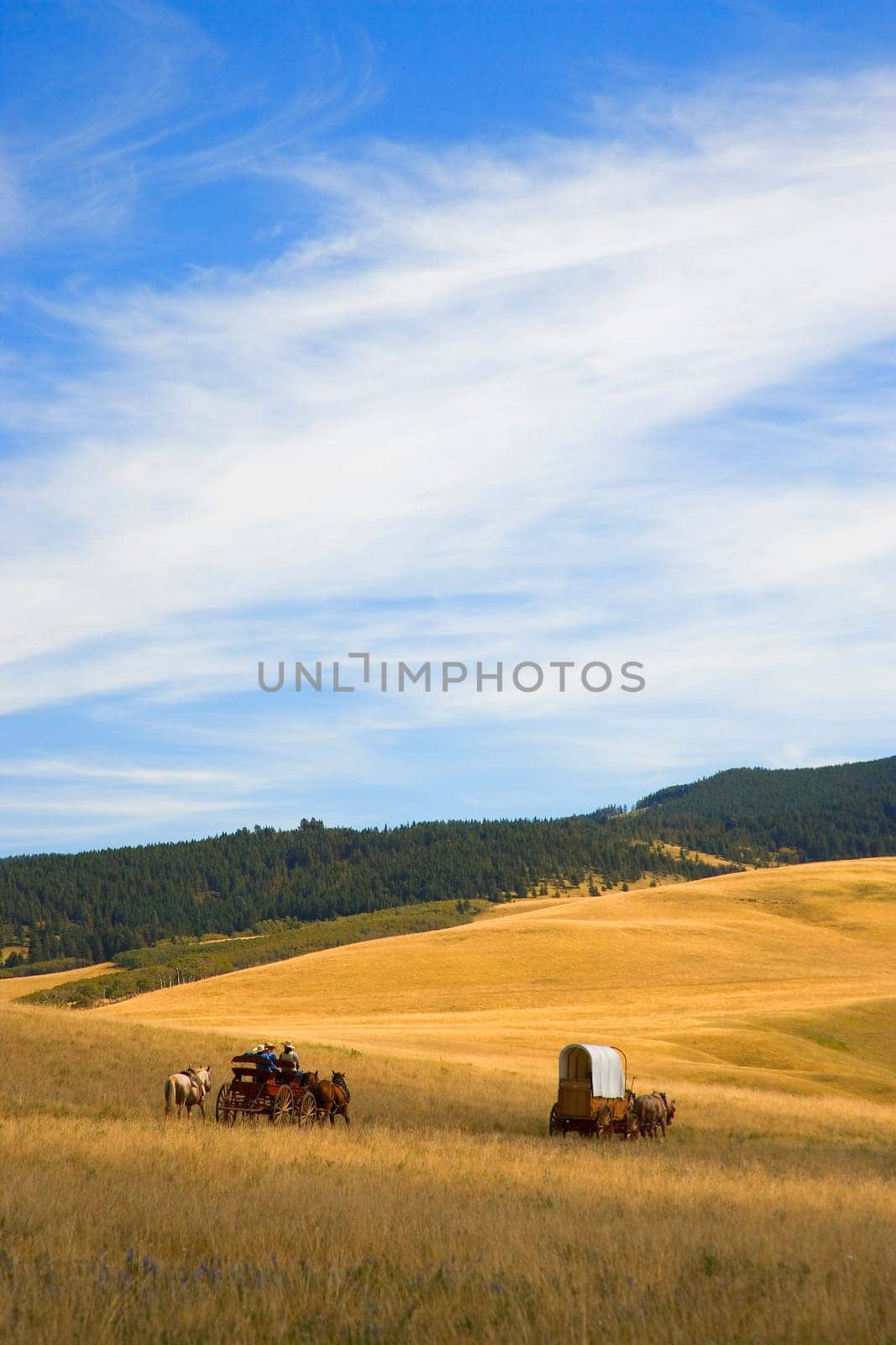 Chuck wagons crossing the Prairies