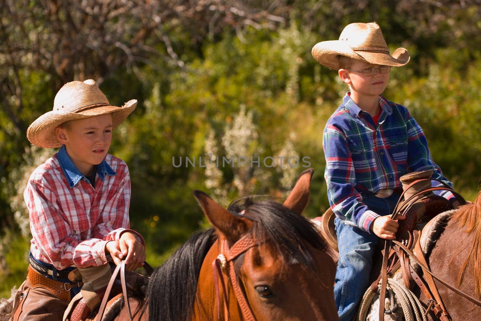 Two boys on horses