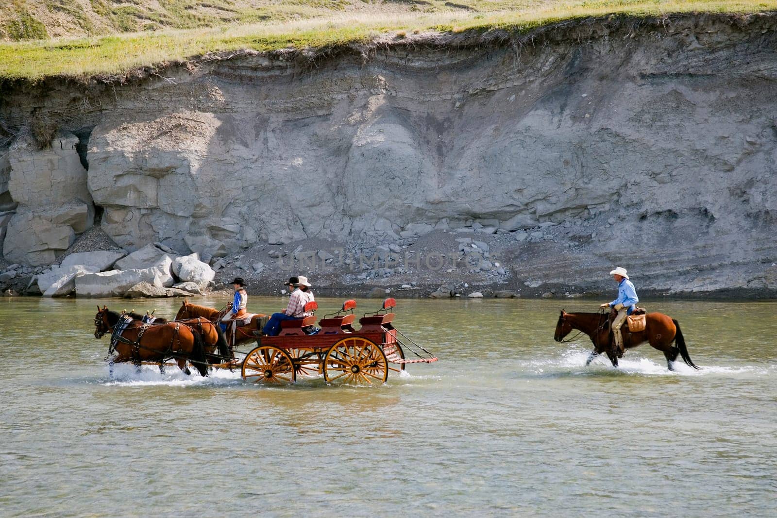 Pulling a buggy through the water