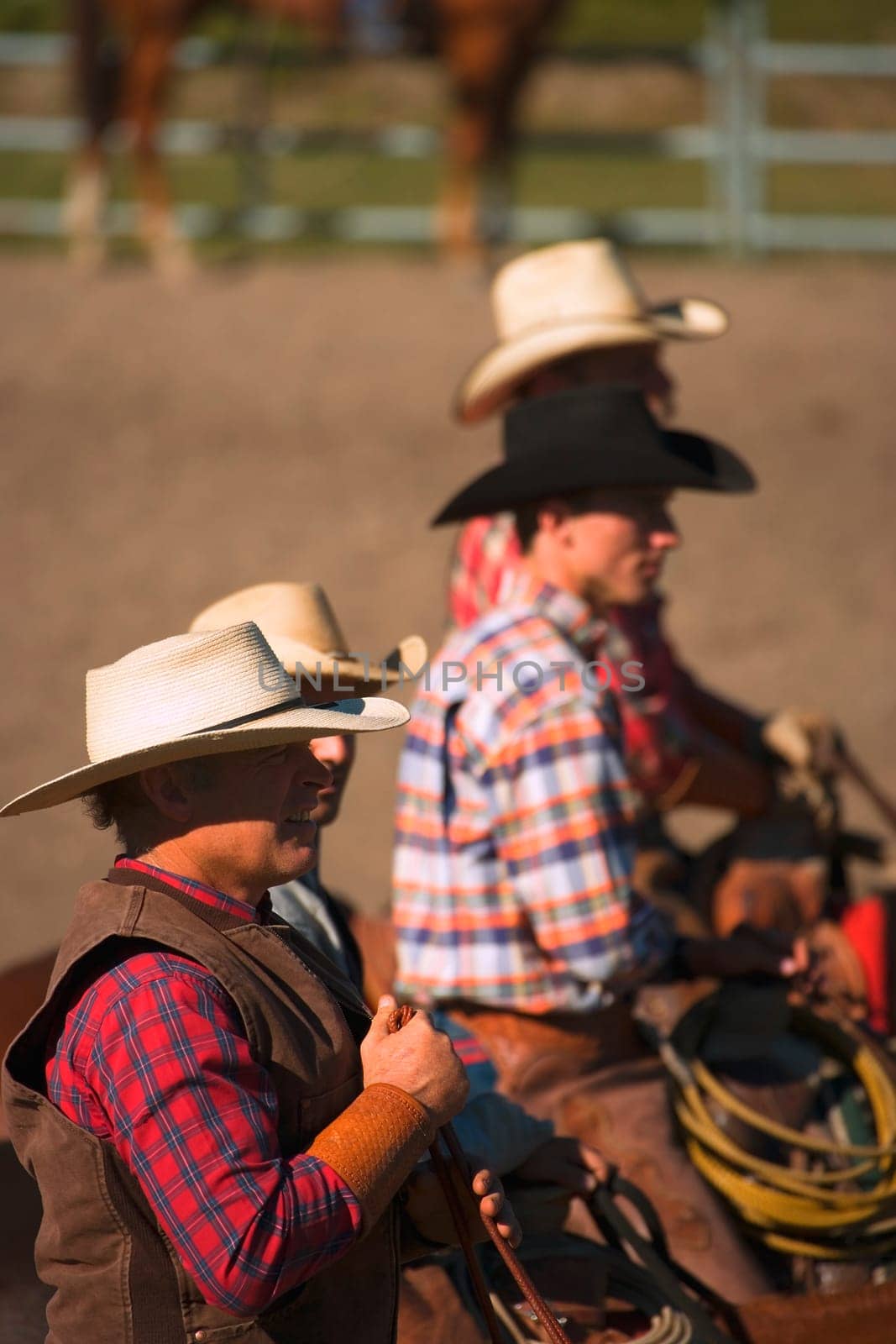 Cowboys look on
