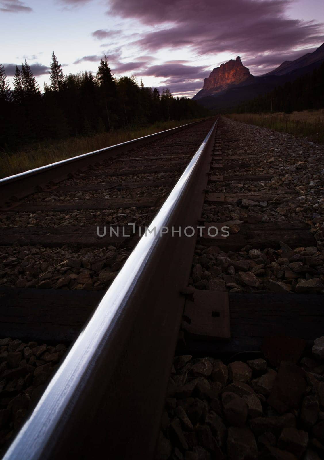 Scenic railroad tracks
