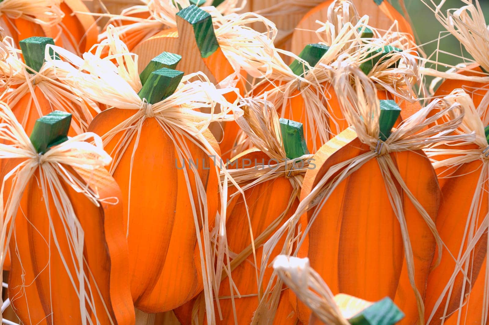 Pumpkin patch