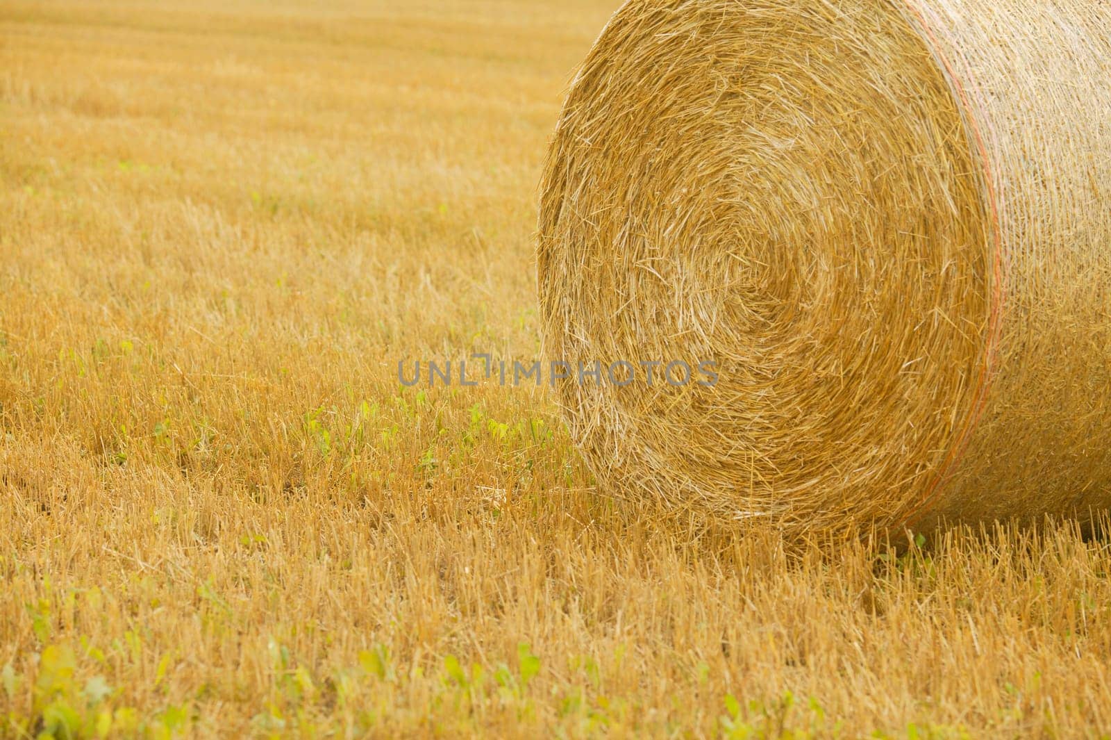 Closeup of a bale of hay