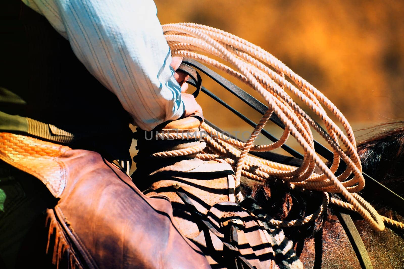 Cowboy with rope