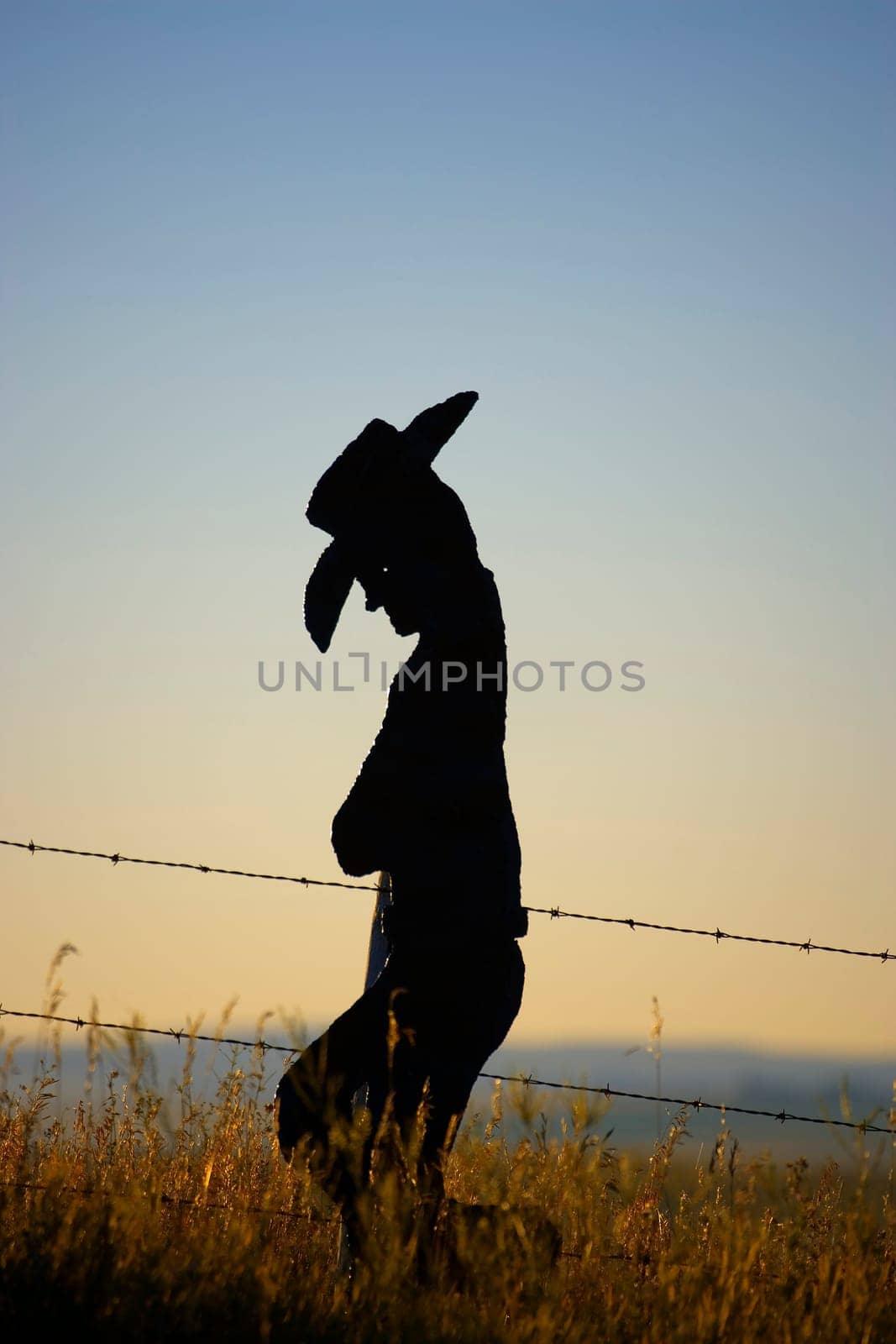 A western ornament