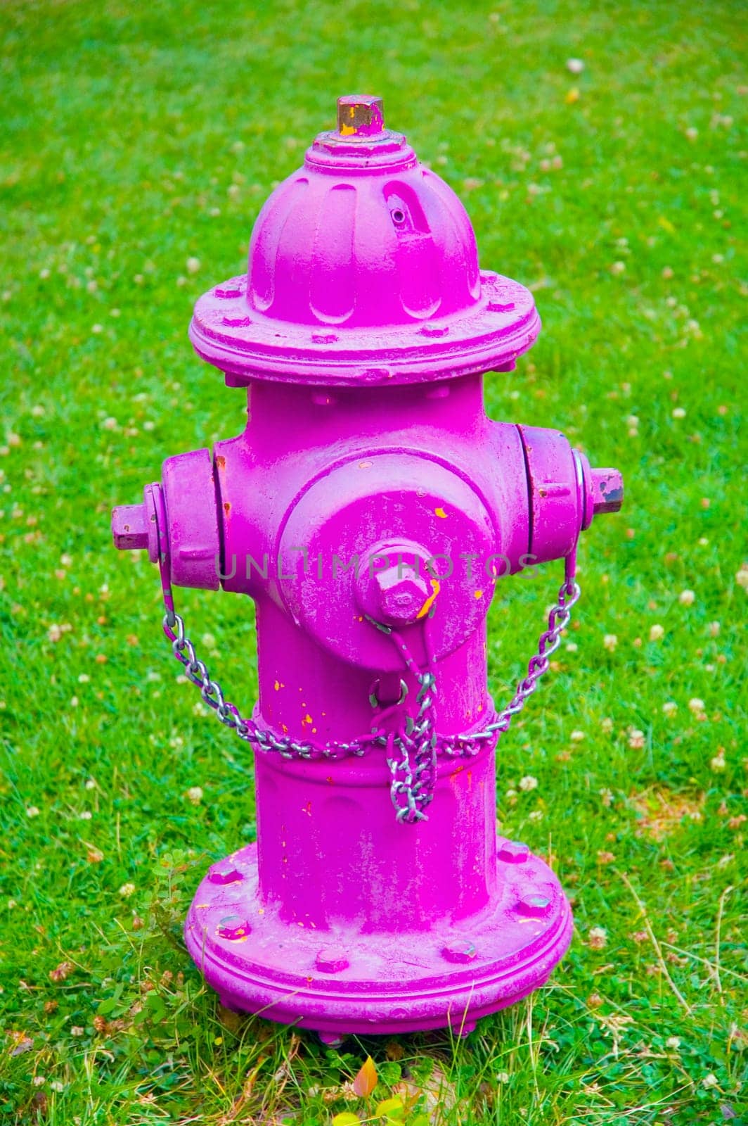 A bright pink fire hydrant