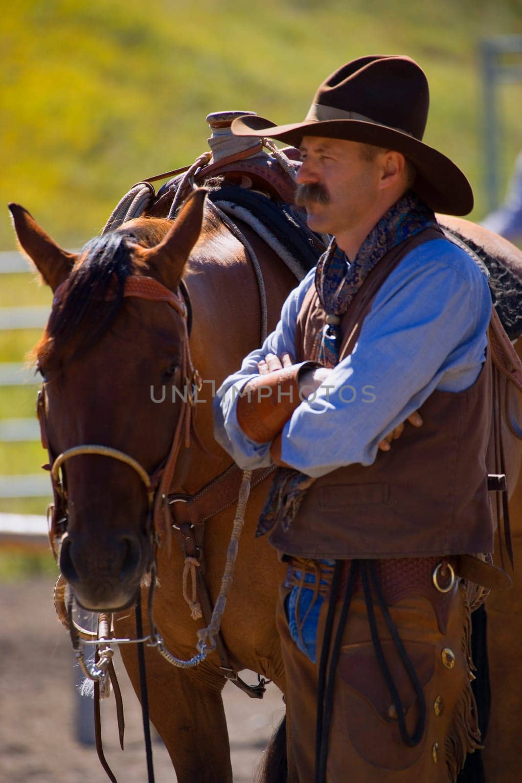 A cowboy and his horse