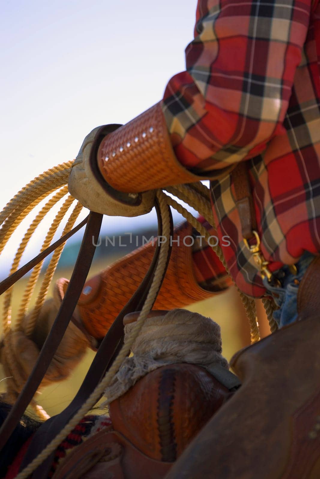 Closeup of cowboy with lasso