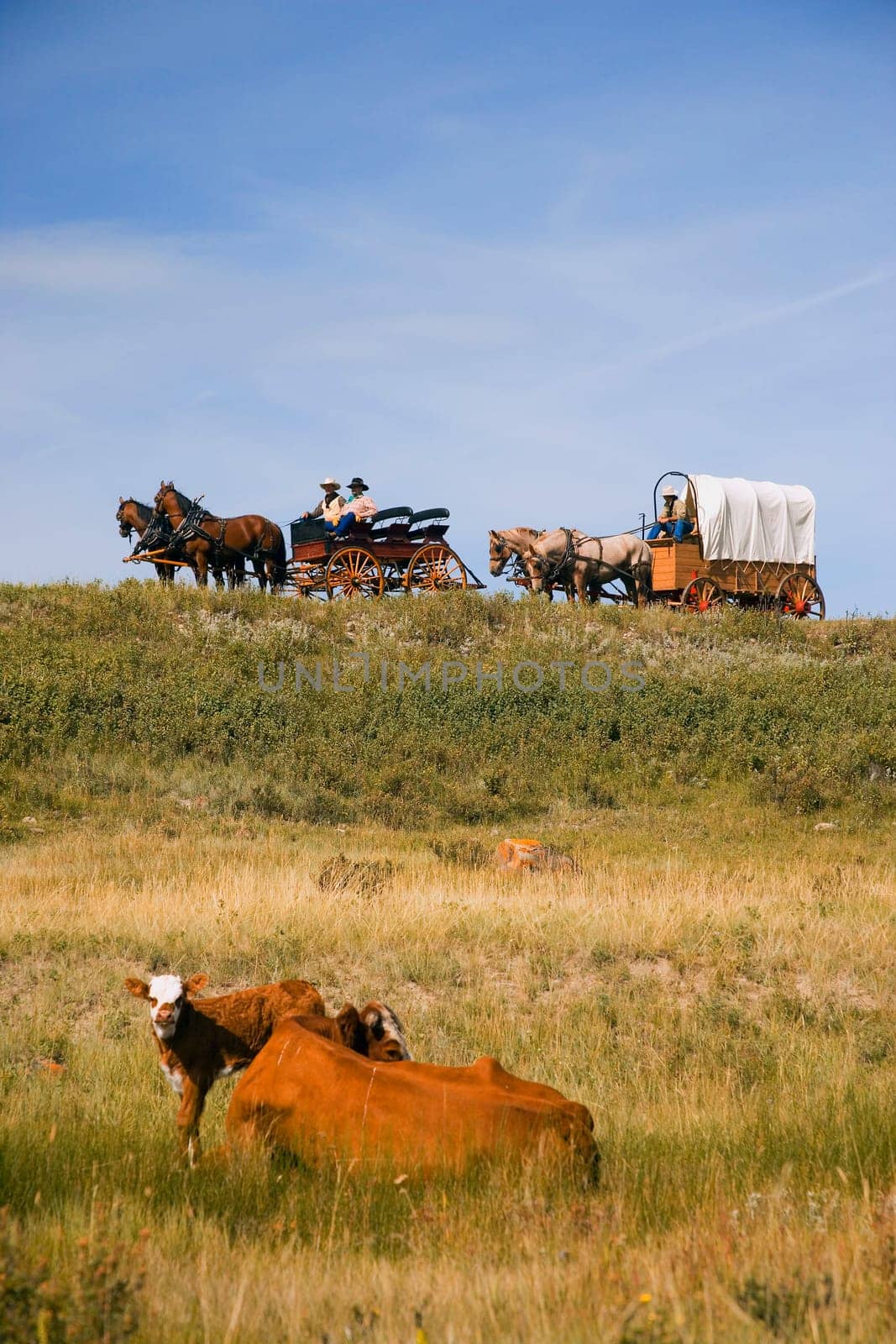 Traveling by horse and carriage