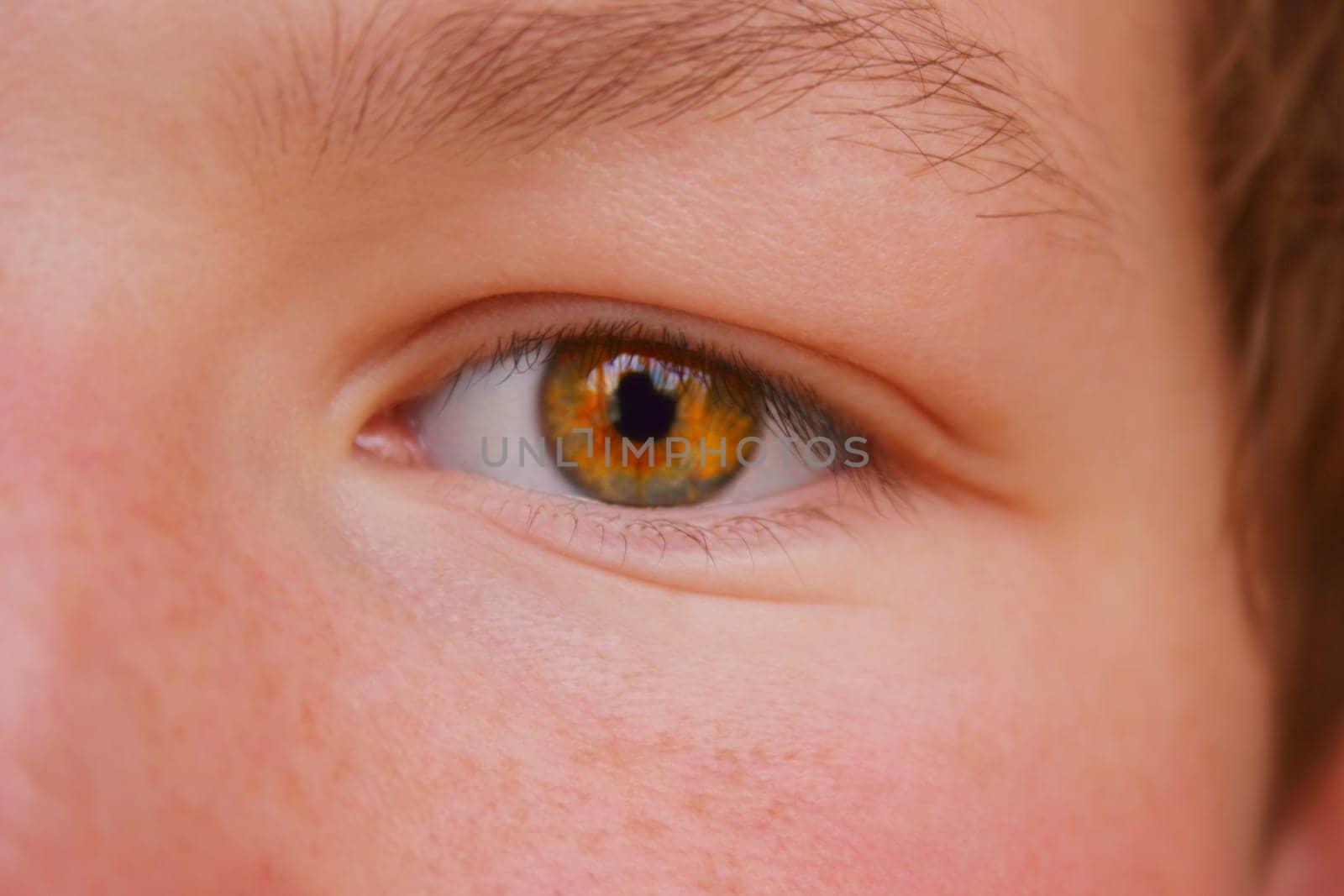Closeup of a hazel eye color