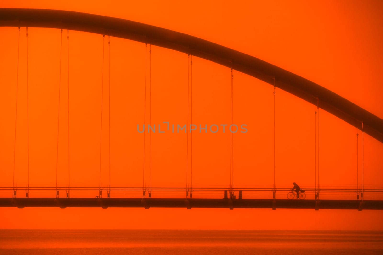 Suspension bridge
