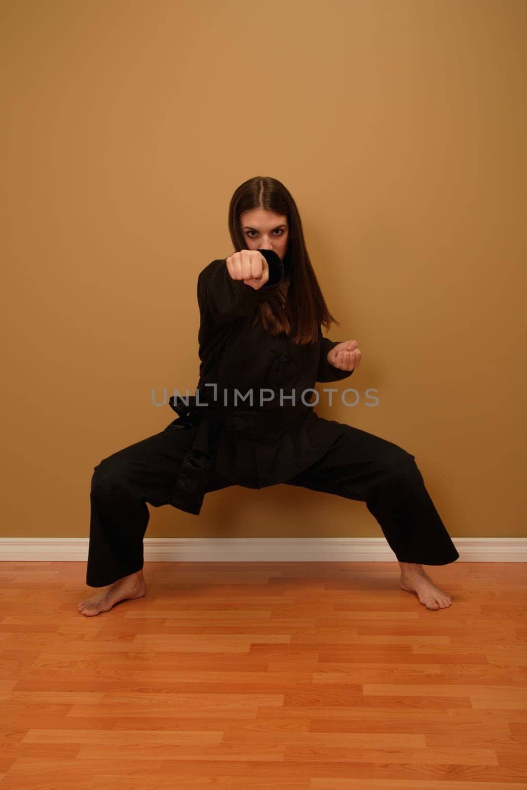 Martial arts position
