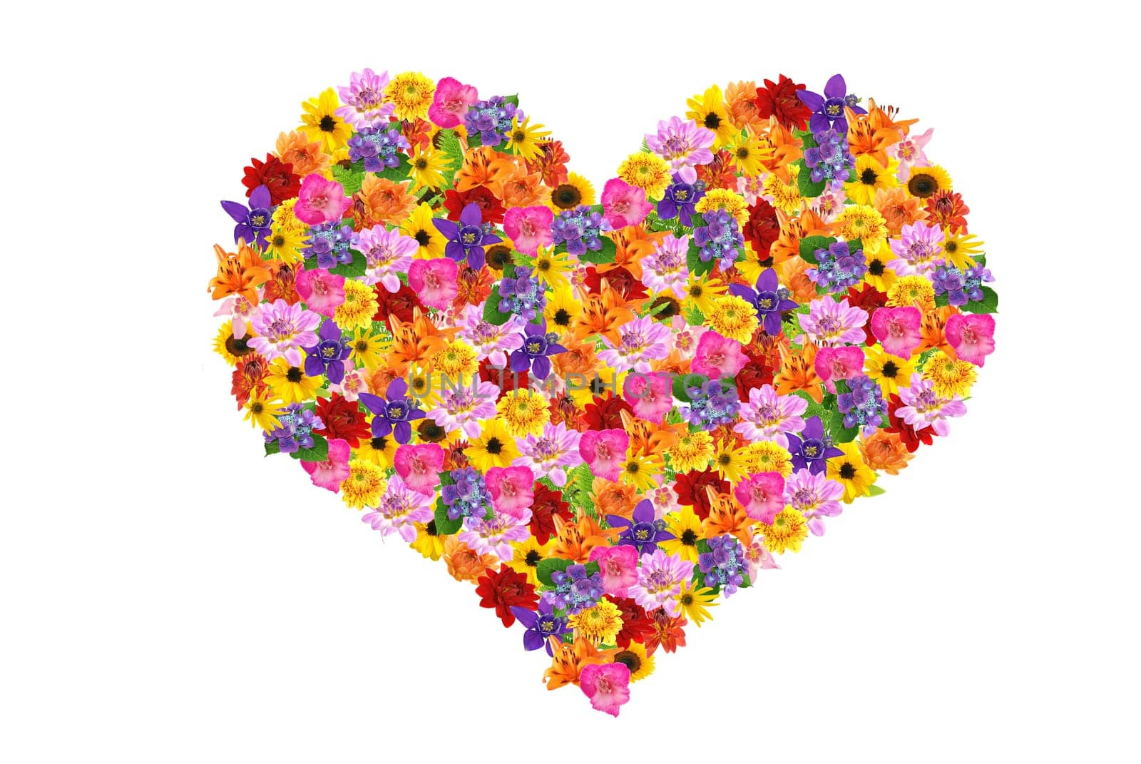Flower Heart