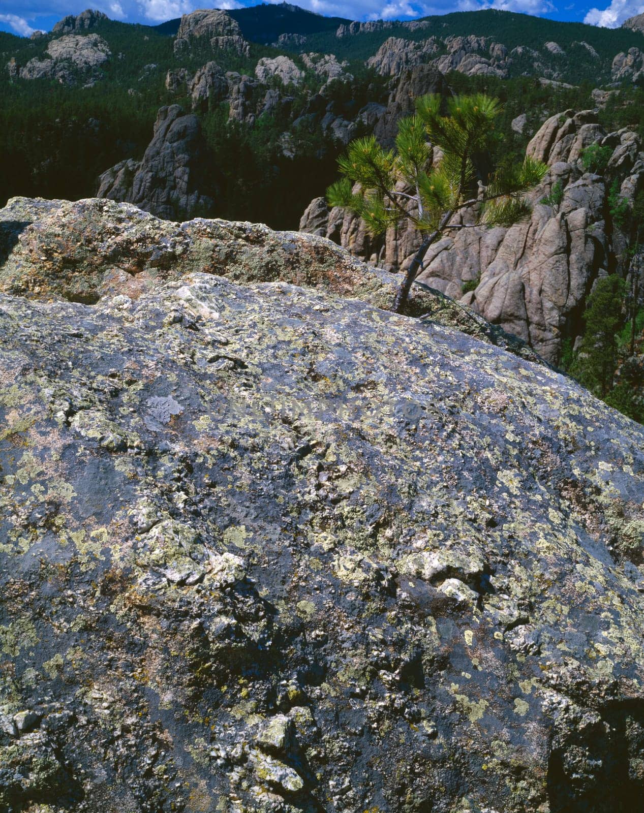 Granite rocks,Black Hills National Forest