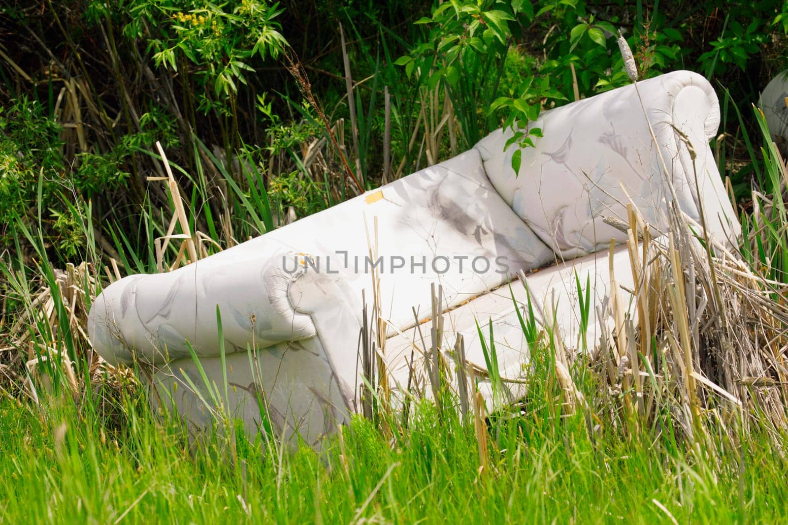 Discarded couch